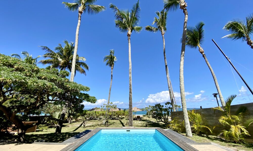 Villa Tropic 1 pool with palm trees